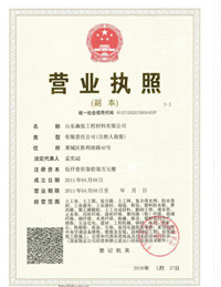 Business License