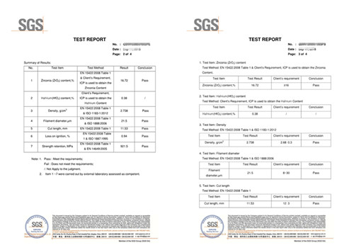 SGS Report